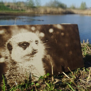 Animal Plaque (260x140)